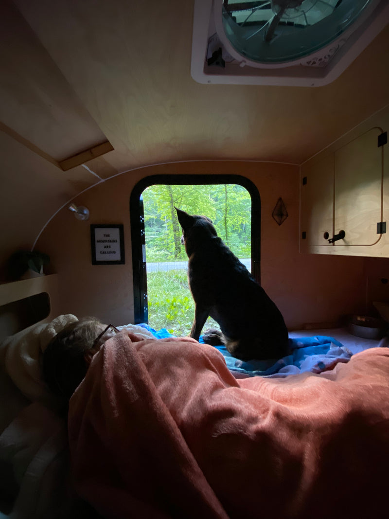 Dog and person relax in a cozy rv rental, enjoying the view from the window. — photo 13