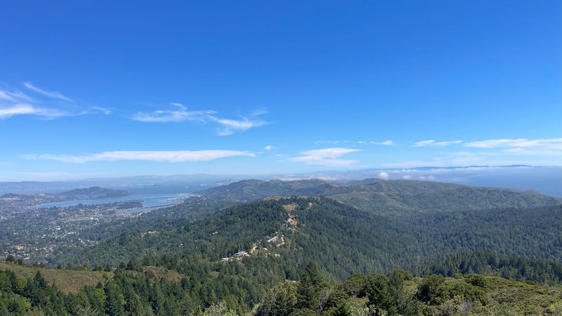 Panoramic view of lush forests, San Francisco Bay, and distant city skyline from a mountain overlook. Plan your RV rental adventure here! — photo 5