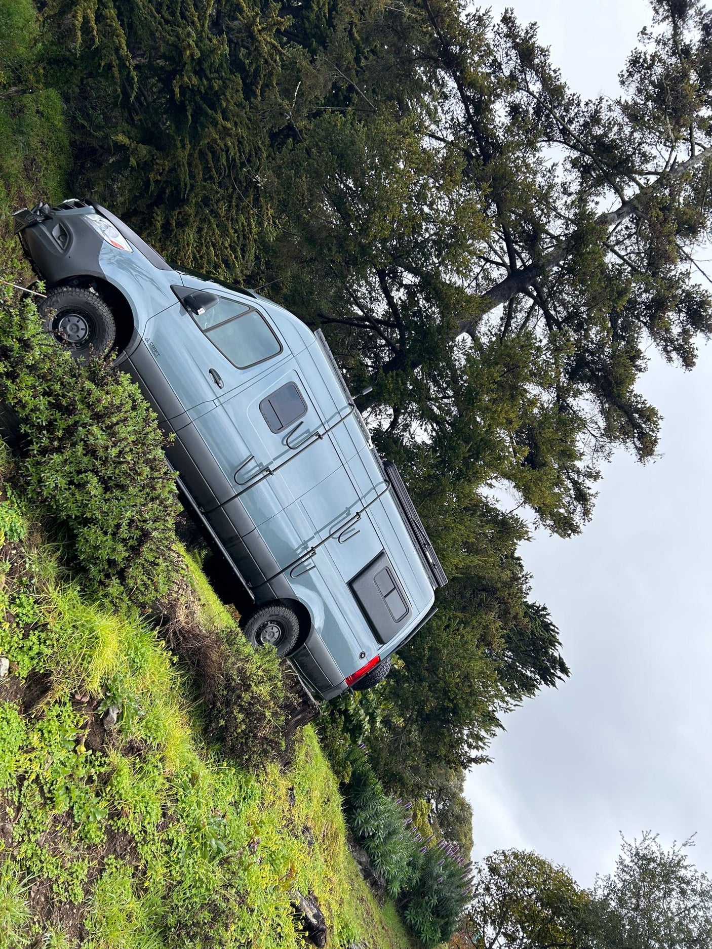 Light blue adventure van (RV rental) on a steep, grassy hillside among tall trees under an overcast sky.