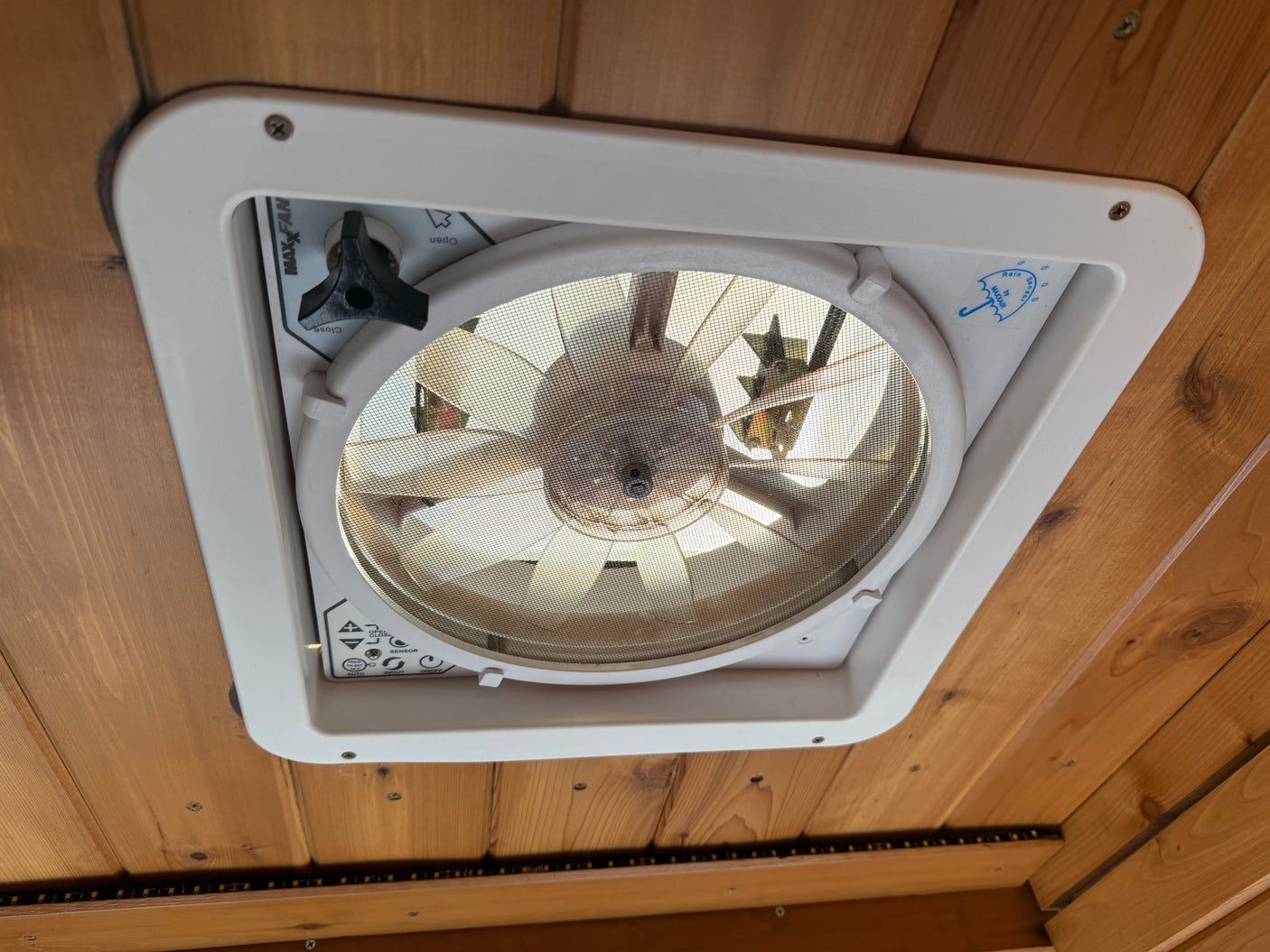Maxxair fan in an RV rental camper provides essential ceiling ventilation for comfort on the road.