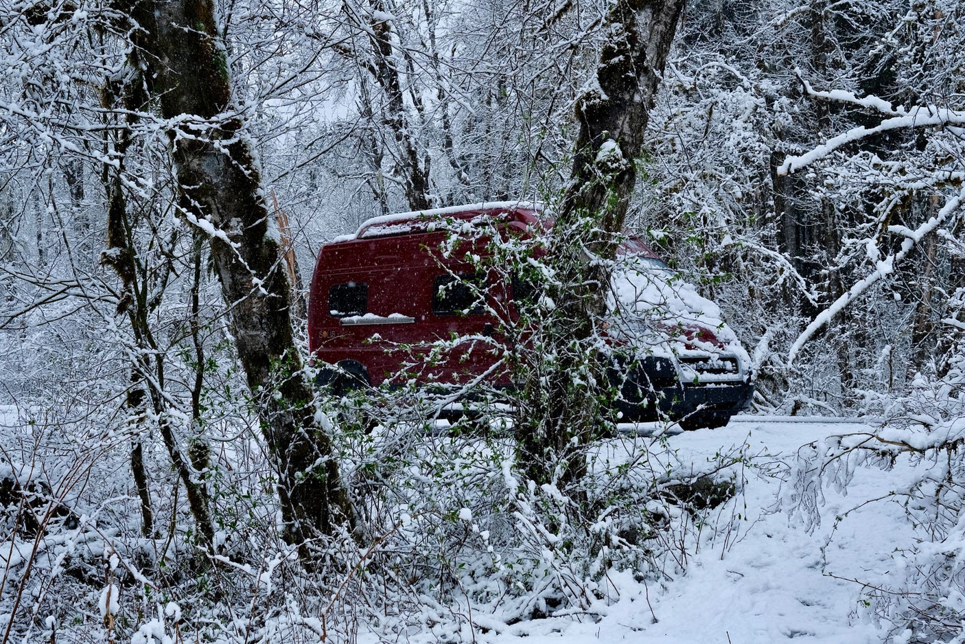 A red RV rental camper van, partially visible amidst snow-covered trees in a serene winter forest.