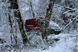 A red RV rental camper van, partially visible amidst snow-covered trees in a serene winter forest.