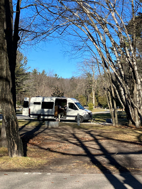 White RV rental van at a sunny bare-tree campsite. A person and dog exit, enjoying nature and travel.