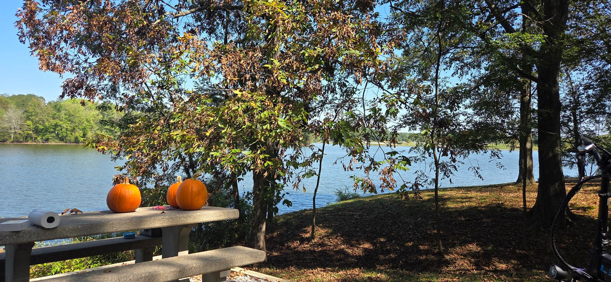 Autumn joy by the lake! Pumpkins on a stone picnic table, perfect for an RV rental camping experience.