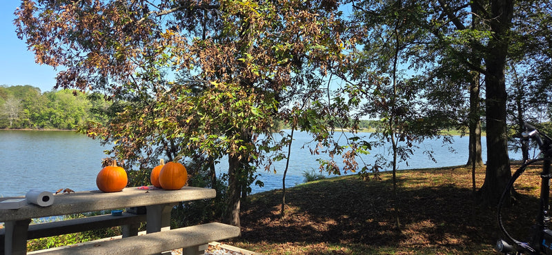 Autumn joy by the lake! Pumpkins on a stone picnic table, perfect for an RV rental camping experience. — photo 1