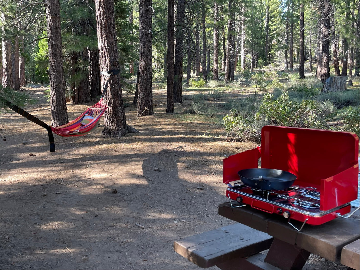 RV rental camping trip: a vibrant hammock and red portable stove on a picnic table in a pine forest.