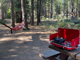 RV rental camping trip: a vibrant hammock and red portable stove on a picnic table in a pine forest.