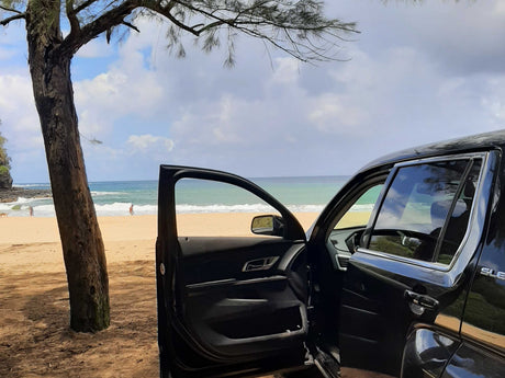 Black SUV, door open, on a scenic beach under a tree. Ocean waves beyond. Perfect trip, no RV rental needed.