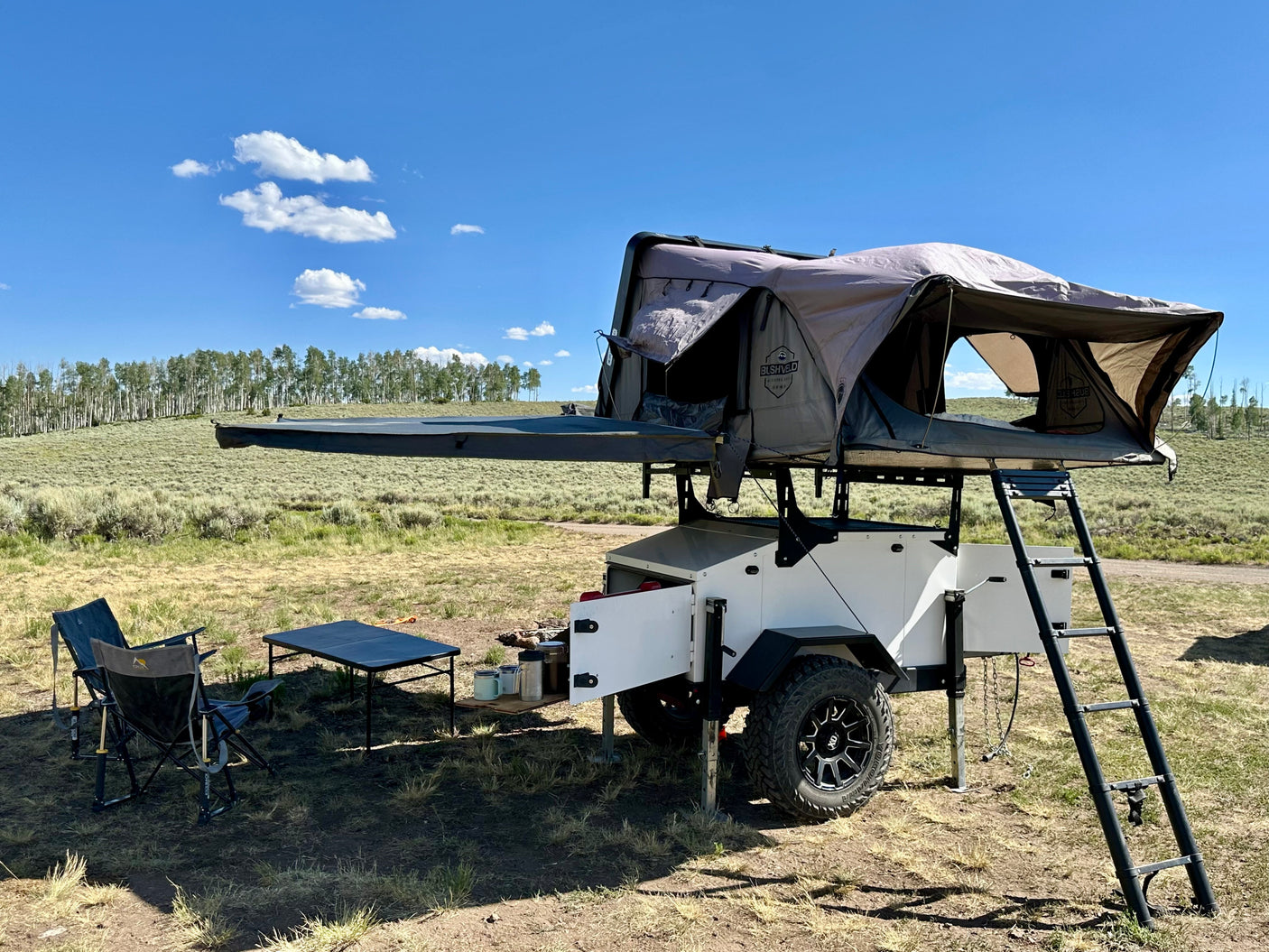 BUSHVELD rooftop tent on an overland trailer, set up for camping. A unique RV rental for nature trips.
