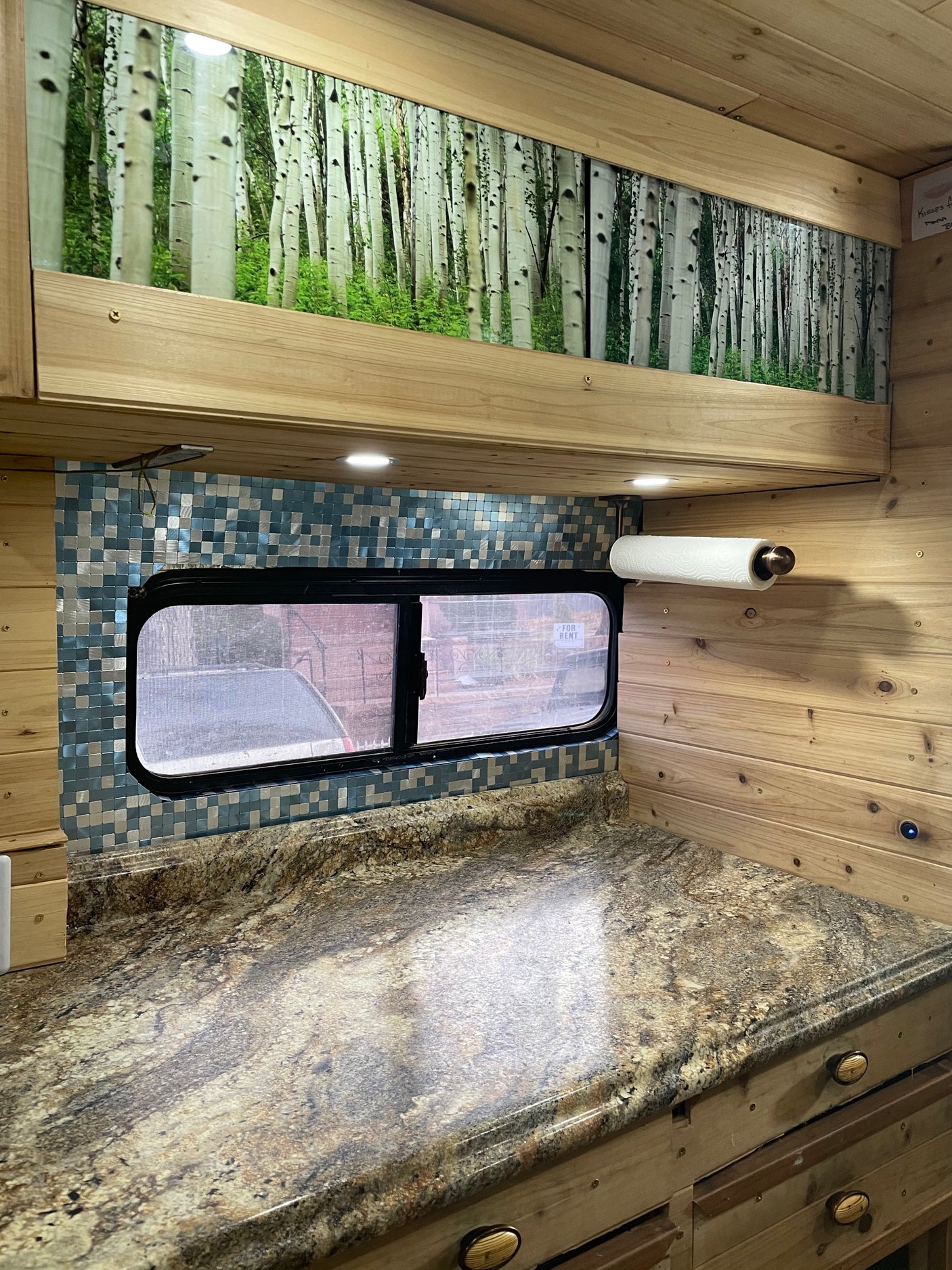 Custom RV rental interior with a kitchen counter, mosaic tile backsplash, and a decorative birch tree mural.