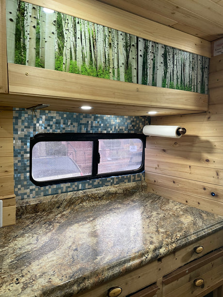 Custom RV rental interior with a kitchen counter, mosaic tile backsplash, and a decorative birch tree mural.