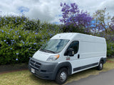 White Ram ProMaster van for rv rental, parked by blue flowers & purple trees under cloudy sky.