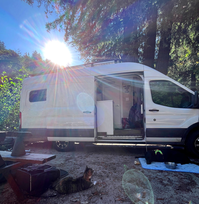 RV rental camper van, side door open, parked on a sunny day. A cat and dog relax nearby, surrounded by lush trees.