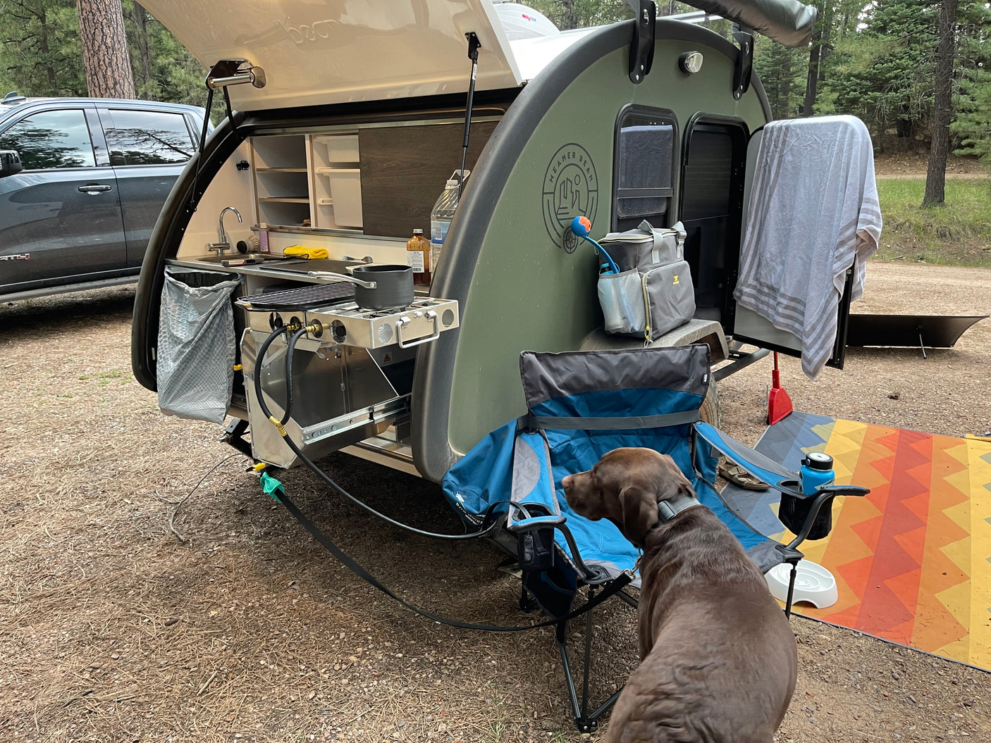 A brown dog rests at a forest campsite, near a teardrop rv rental with its outdoor kitchen open, ready for cooking.