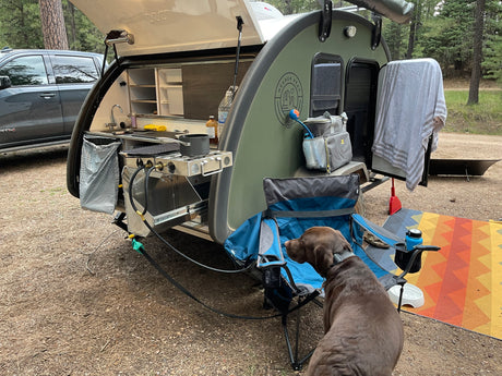 A brown dog rests at a forest campsite, near a teardrop rv rental with its outdoor kitchen open, ready for cooking.