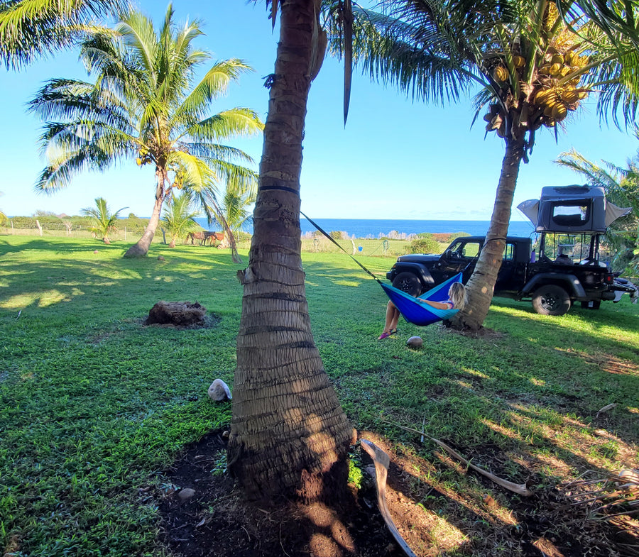 A person relaxes in a blue hammock between palm trees. A black Jeep with a rooftop tent, like an RV rental, sits by the ocean.