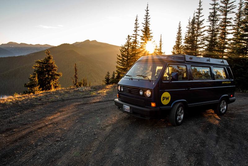 Van #4 - Ernie — photo 4