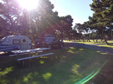 This sunny campground features a teardrop rv rental with an SUV, a wooden picnic table, and tall trees, perfect for camping.