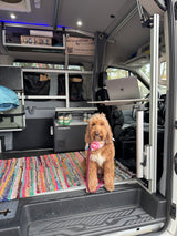 Explore in this comfy RV rental! Pet-friendly van with custom storage, a Dometic fridge, and a mobile office setup.