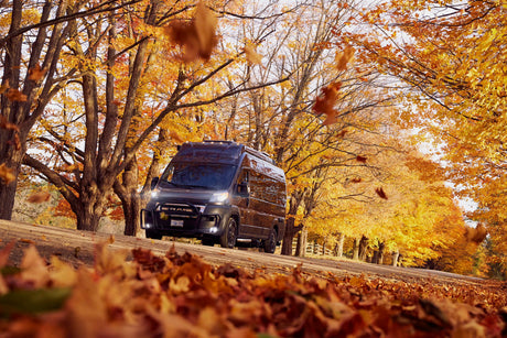 Perfect autumn **RV rental** road trip! A dark camper van on a leaf-strewn road, surrounded by vibrant golden-orange fall trees with falling leaves.