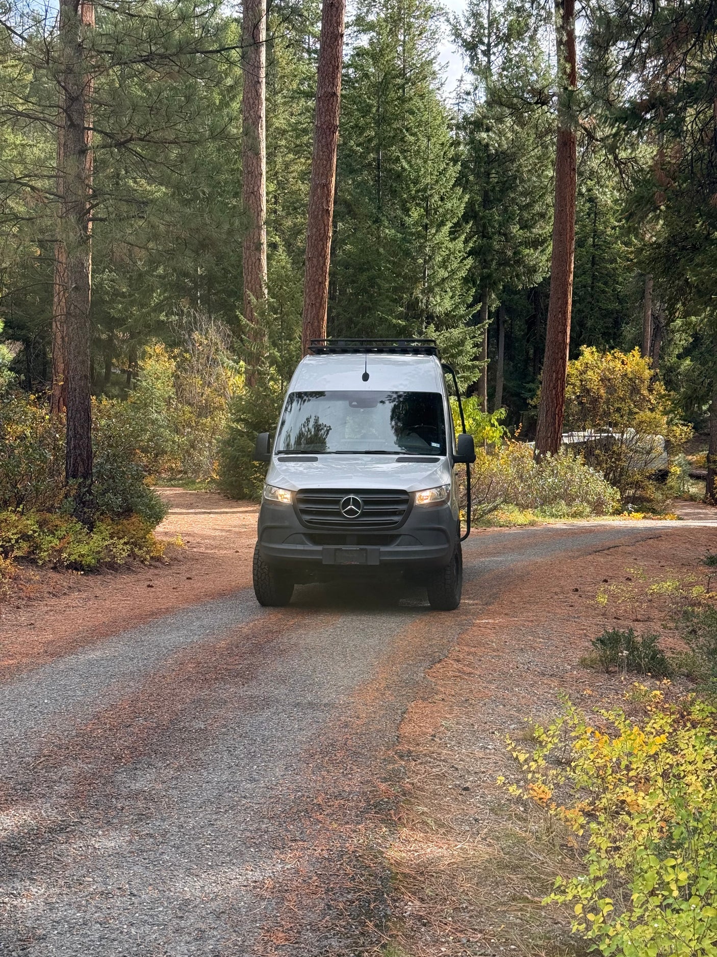 Campervan rv rental, a white Mercedes Sprinter, on a rustic forest road surrounded by tall trees and fall foliage.
