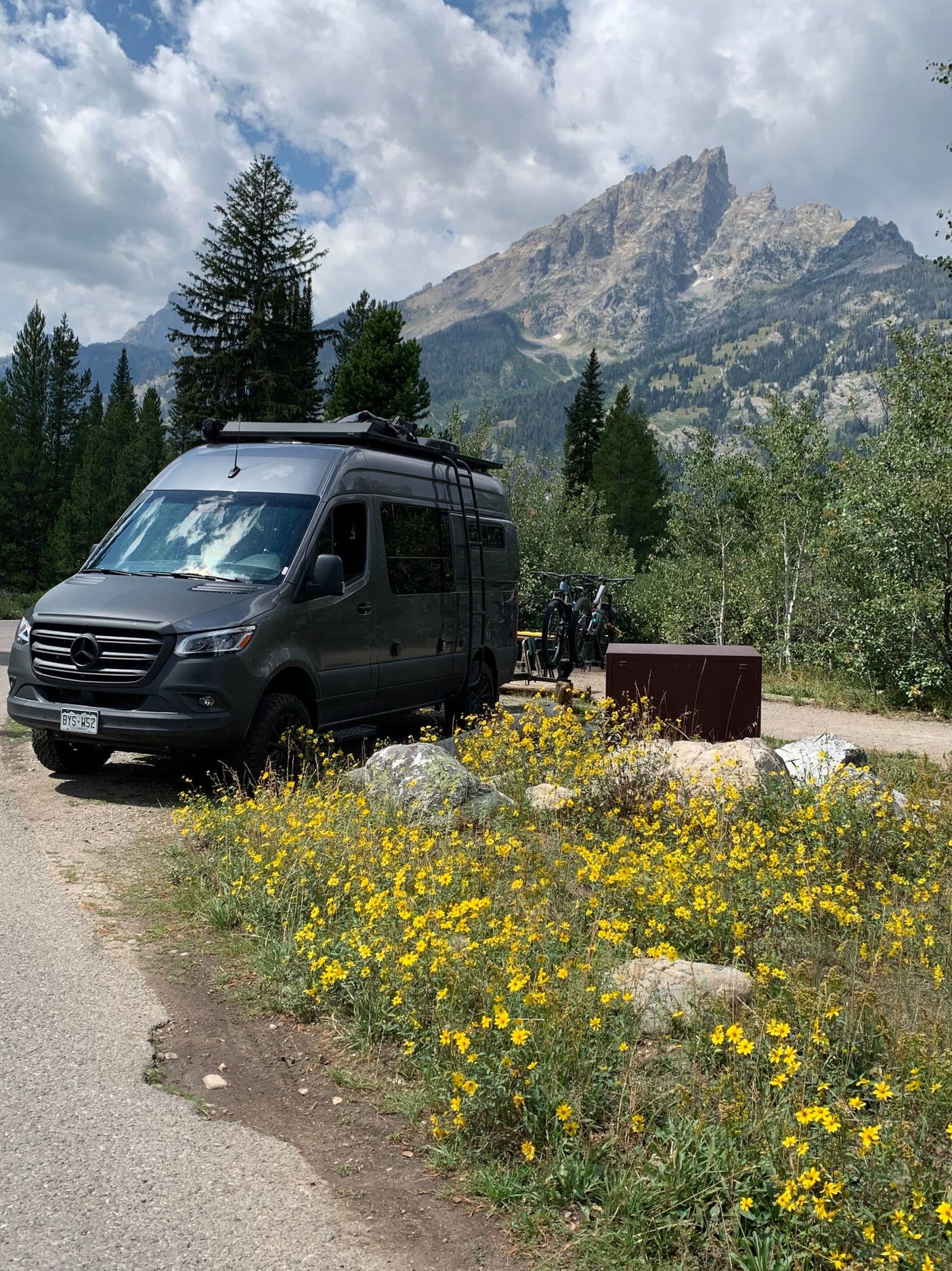 RV rental camper van adventure: A grey Sprinter van parked on a dirt road, framed by yellow wildflowers and majestic mountains.