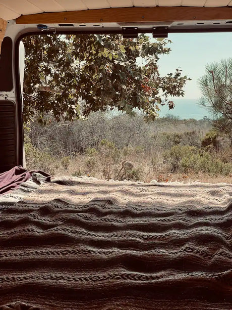 Cozy rv rental bed view from a camper van's open doors, overlooking trees and the distant ocean. Ideal for nature travel.