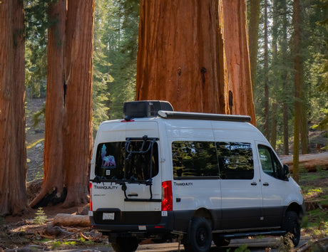 White rv rental camper van nestled among towering redwoods. A perfect setting for a tranquil forest adventure.