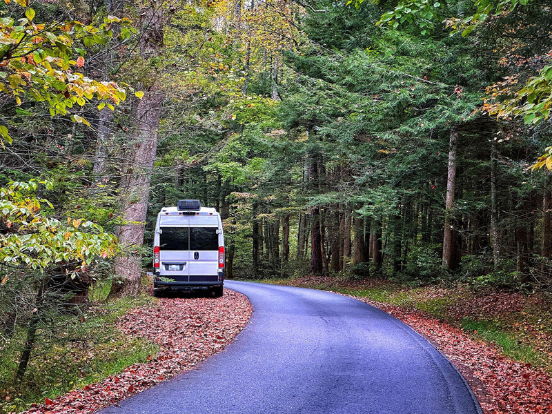  framed by vibrant autumn foliage.|An RV rental parked on a leaf-strewn — photo 4