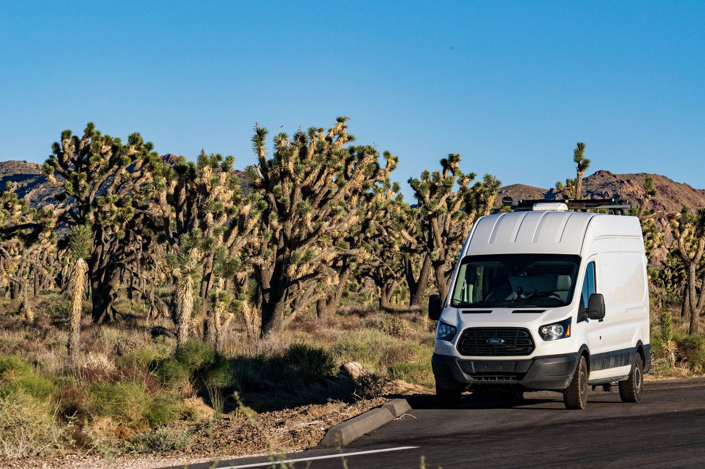 White Ford Transit rv rental van parked among Joshua Trees in a sunny desert. Great for a road trip adventure!