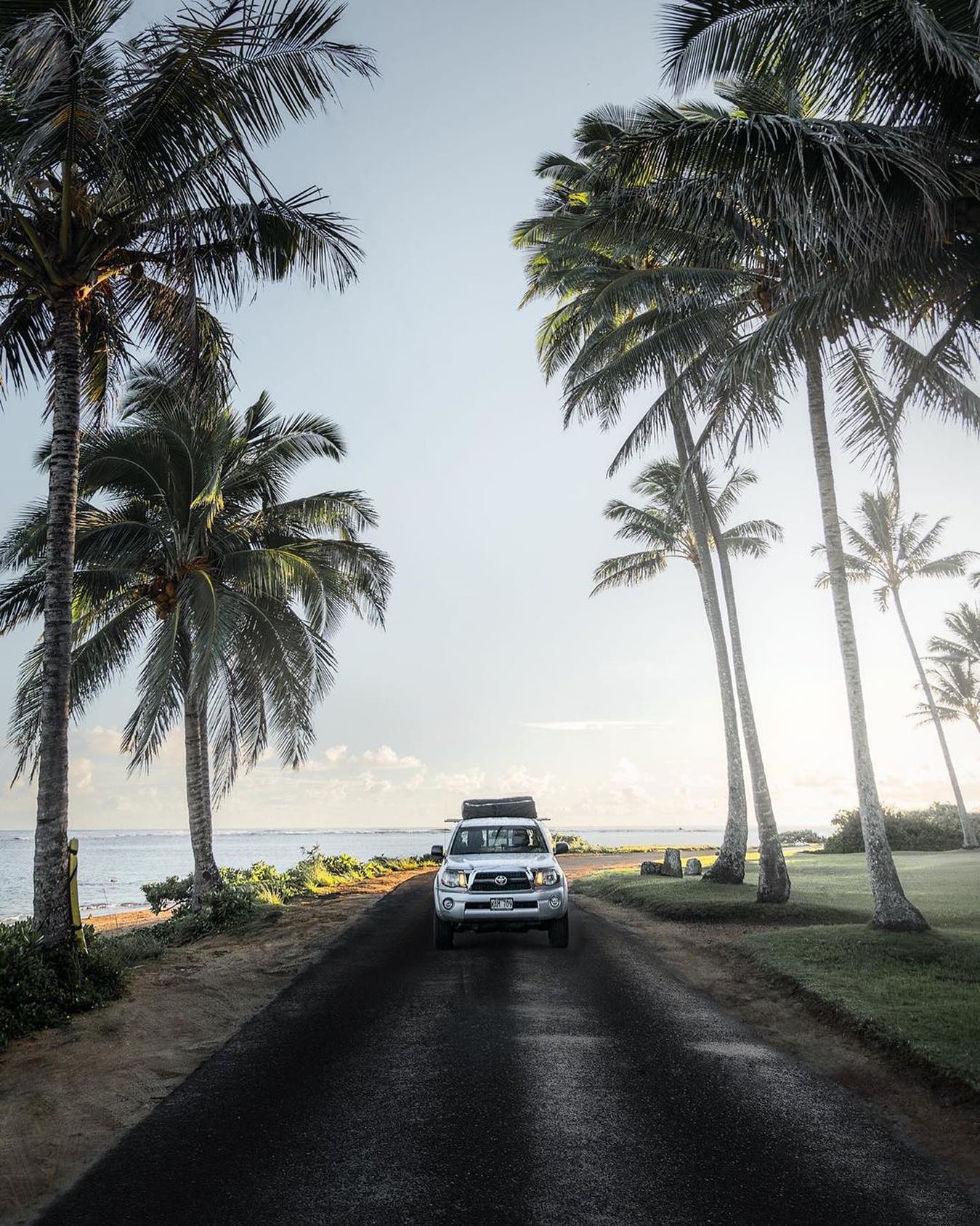 A white truck with roof tent on a coastal road lined with palm trees & ocean. Explore with an RV rental adventure! — photo 8