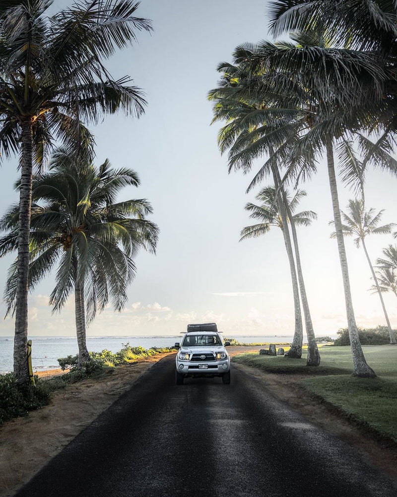 A white truck with roof tent on a coastal road lined with palm trees & ocean. Explore with an RV rental adventure! — photo 8