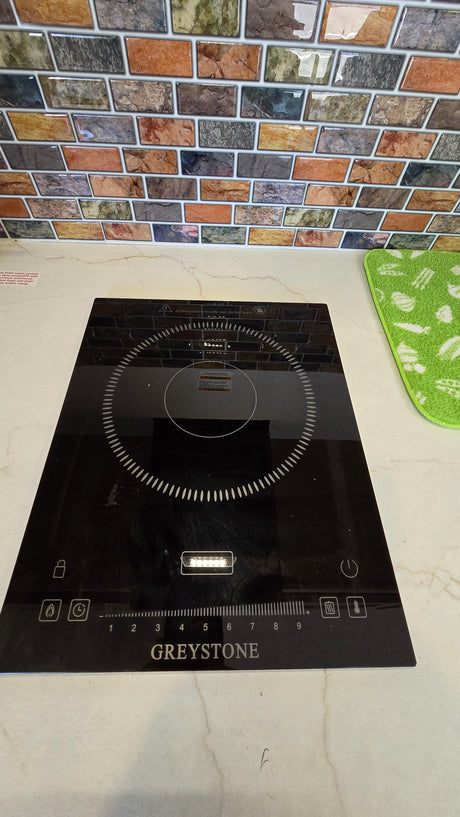 RV rental kitchen featuring a sleek Greystone induction cooktop on a counter, with a colorful tiled backsplash.
