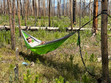 Person relaxing in a hammock amidst a recovering forest. Perfect pause on an RV rental journey.