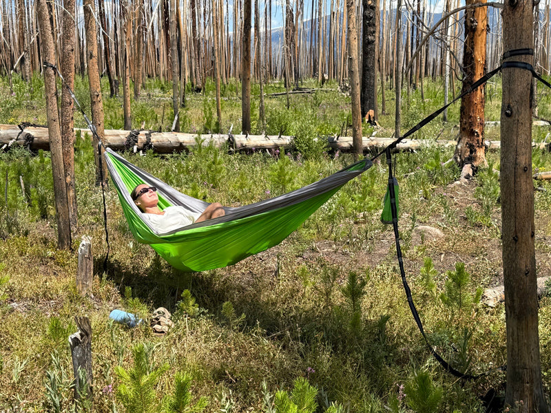 Person relaxing in a hammock amidst a recovering forest. Perfect pause on an RV rental journey. — photo 12