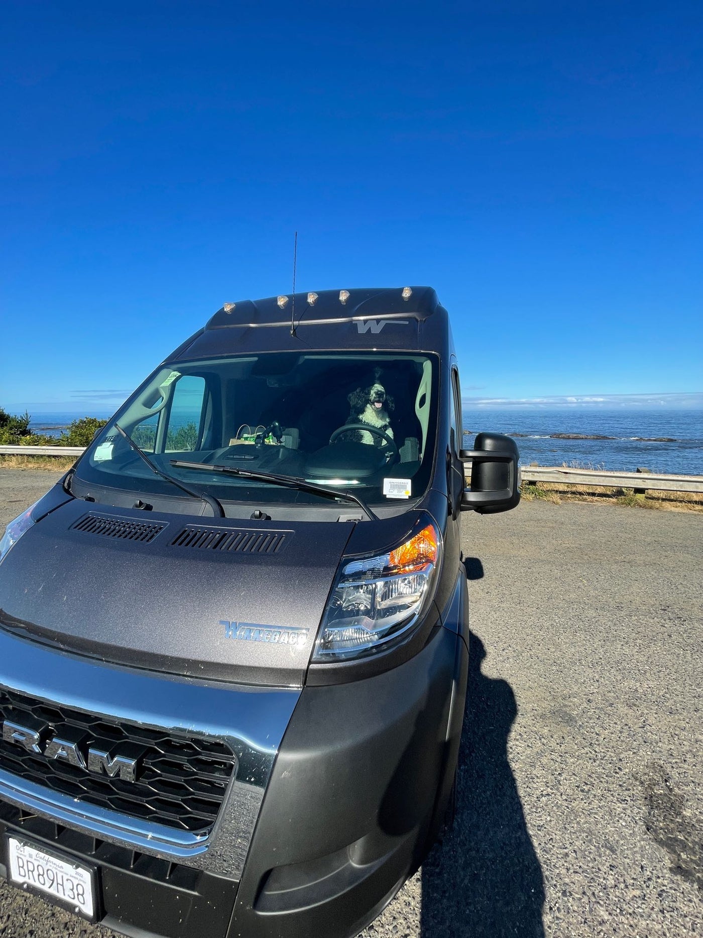 Joyful dog in a grey RV rental camper van overlooking the ocean. Perfect coastal travel adventure. — photo 6