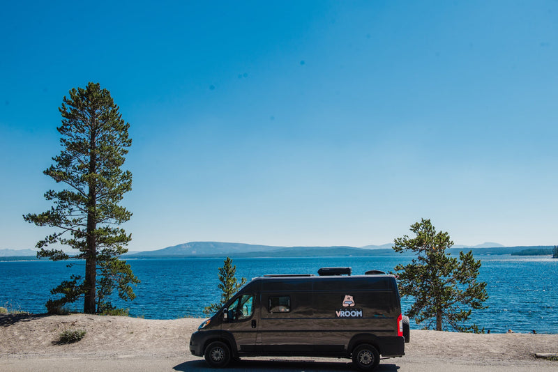 Black RV rental van parked lakeside with a tall tree — photo 1
