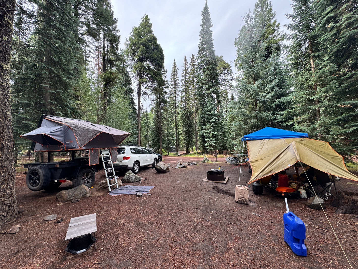 Spacious forest campsite featuring a rooftop tent trailer & ground tent setup. An ideal RV rental alternative for adventure!