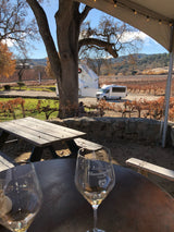 Winery view with an RV rental, dormant vines, and wine glasses. Autumn colors in a beautiful vineyard setting.