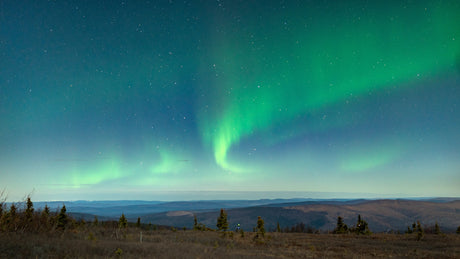 Vibrant green Northern Lights dance across a starry night sky above a vast, dark landscape with small trees. Ideal for an RV rental trip.