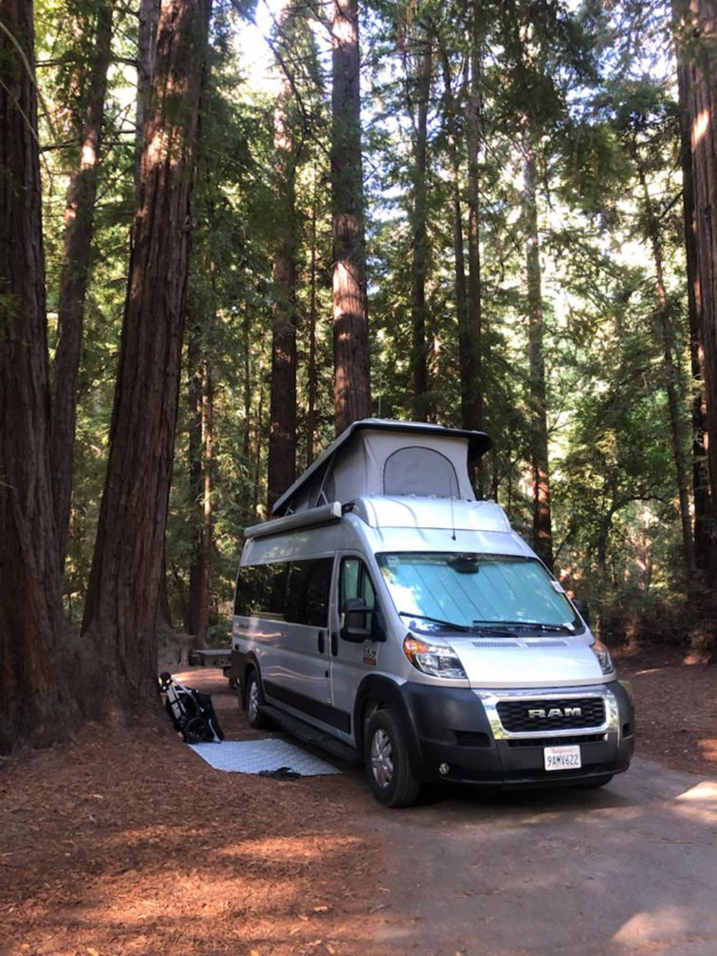 RV rental parked in a serene redwood forest, pop-top open for camping. A perfect nature escape.