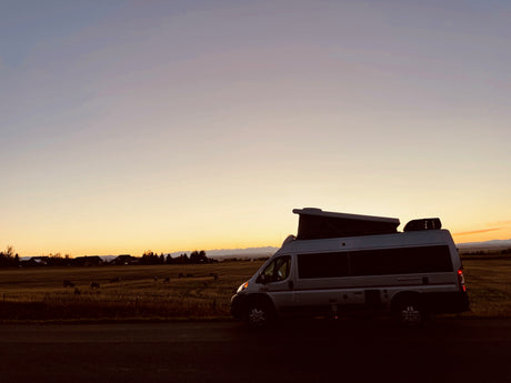 Experience stunning sunsets and nature with an RV rental. This camper van overlooks a field of grazing deer at dusk.