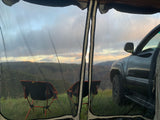 Inside a mesh tent, two chairs face mountains & an SUV. Great RV rental camping spot for scenic views!