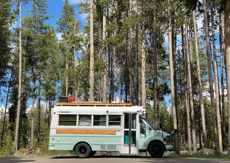 Mint green skoolie RV rental, customized for travel, parked among tall pine trees. Perfect for a nature adventure.