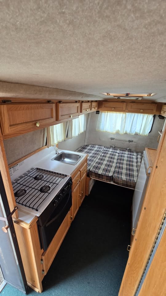 Sophie the Scamp — photo 3
