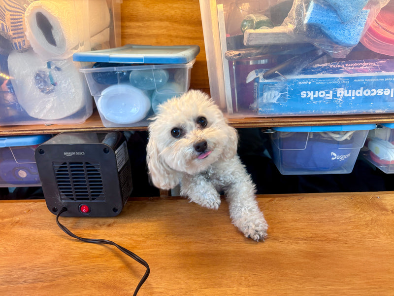 Adorable white dog peeks from organized storage in an RV rental, beside an Amazon Basics heater. Travel essentials neatly packed. — photo 14