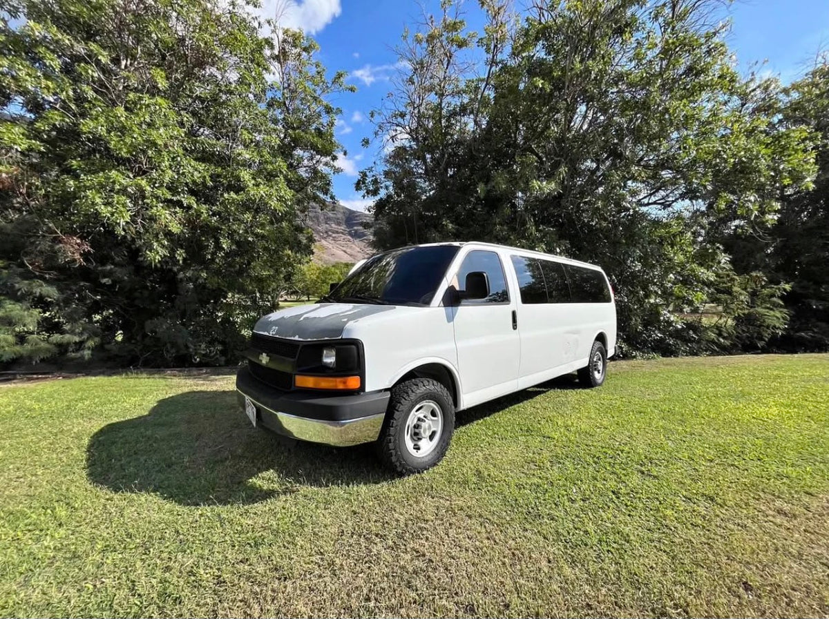 White conversion van, ideal for RV rental adventures, parked on a sunny, grassy field with mountains in the background.