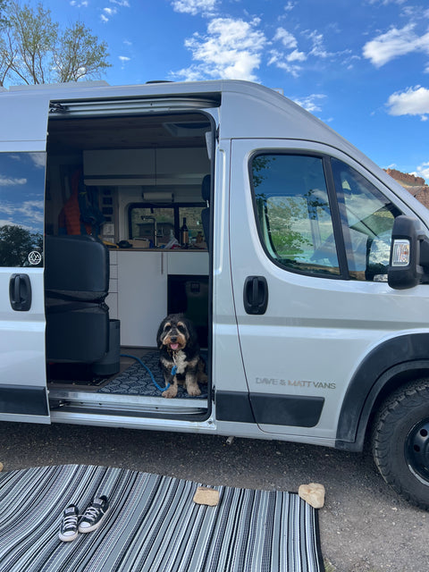 Colorado Rambler — photo 3