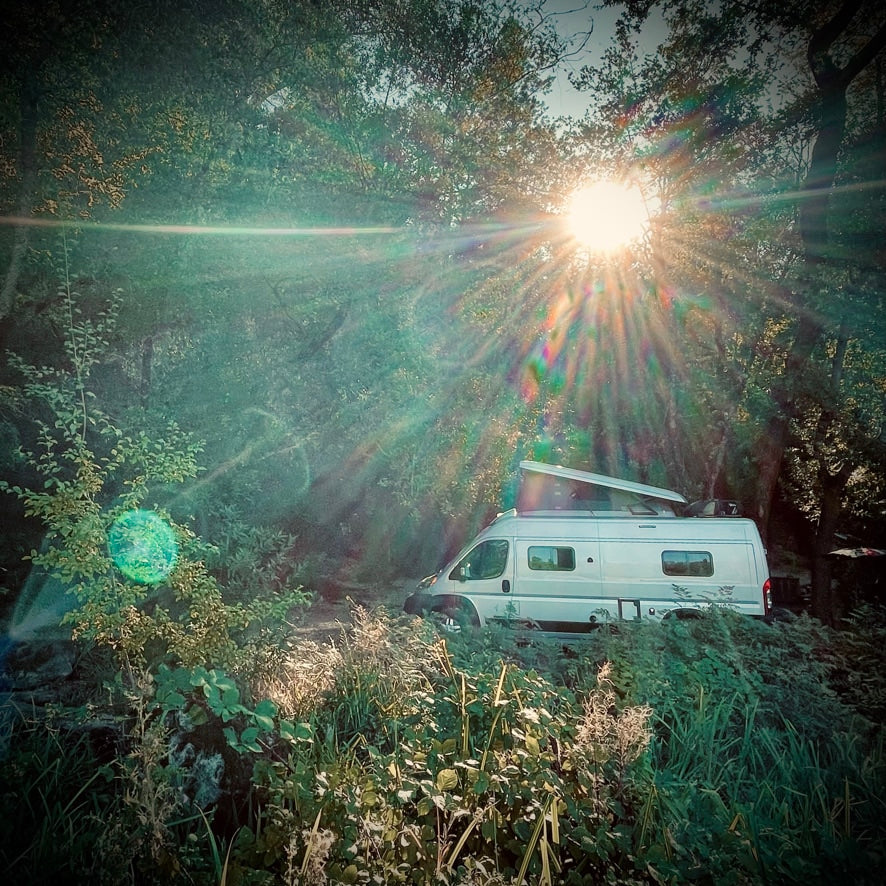 Experience nature with an RV rental! This bright camper van is nestled among sun-drenched trees and green plants.
