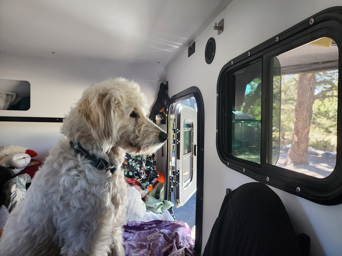  and organized storage for camping essentials.|Cozy RV rental interior with a comfy bed — photo 11